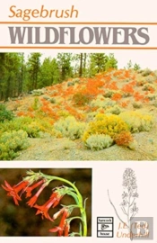 Sagebrush Wildflowers