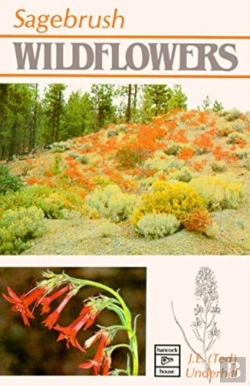 Bertrand.pt - Sagebrush Wildflowers