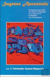 Sagesse Ancestrale ; Enseignements De L'Ecole Des Anciens Sur Le Yoga Du Reve La Meditation Et La Transformation