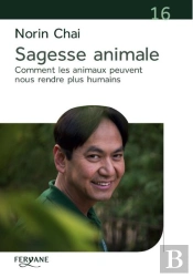 Sagesse Animale ; Comment Les Animaux Peuvent Nous Rendre Plus Humains