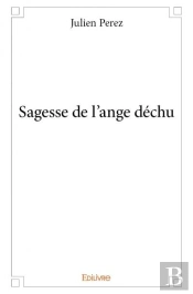 Sagesse De L'Ange Dechu