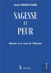 Sagesse Et Peur : Macron Et Le Sens De L'Histoire