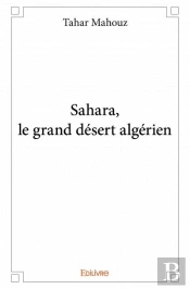 Sahara, Le Grand Desert Algerien