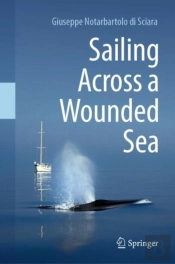 Sailing Across A Wounded Sea