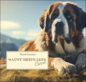 Saint Bernard Eternel