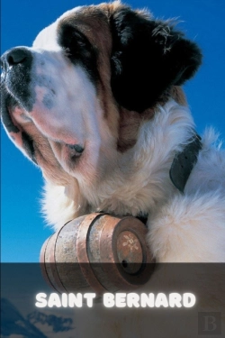 Bertrand.pt - Saint Bernard