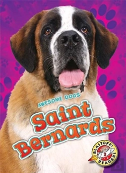 Bertrand.pt - Saint Bernards