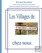 Saint Dalmas Le Selvage - Nos Villages