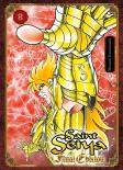 Saint Seiya Los Caballeros Del Zodiaco Final Edition 8