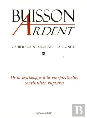 Saint Silouane L'Athonite T.15 ; De La Psychologie À La Vie Spirituelle, Continuités, Ruptures