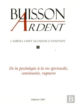 Bertrand.pt - Saint Silouane L'Athonite T.15 ; De La Psychologie À La Vie Spirituelle, Continuités, Ruptures