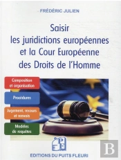 Saisir Les Juridictions Europeennes Et La Cour Europeenne Des Droits De L'Homme