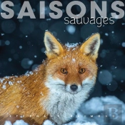 Saisons Sauvages