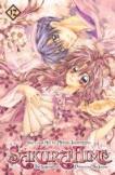 Sakura Hime: The Legend Of Princess Sakura, Vol. 12
