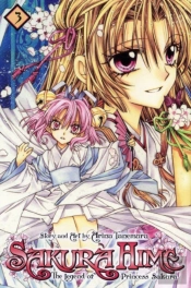 Sakura Hime: The Legend Of Princess Sakura, Vol. 3