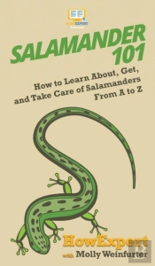 Salamander 101