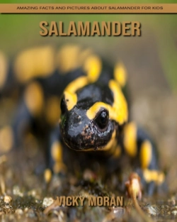Bertrand.pt - Salamander