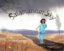 Salamander Sky