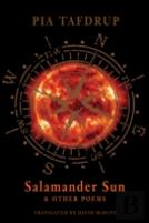 Salamander Sun And Other Poems