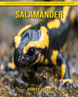 Bertrand.pt - Salamander