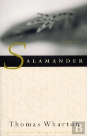 Salamander