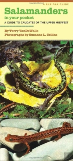 Bertrand.pt - Salamanders In Your Pocket