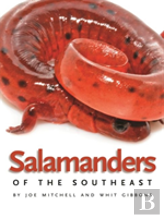 Salamanders Of The Southeast
