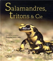 Salamandres, Tritons & Cie