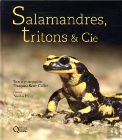 Bertrand.pt - Salamandres, Tritons & Cie