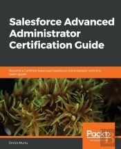 Salesforce Advanced Administrator Certification Guide