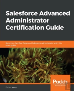 Bertrand.pt - Salesforce Advanced Administrator Certification Guide