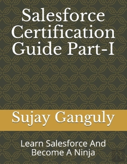 Bertrand.pt - Salesforce Certification Guide