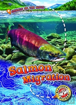 Bertrand.pt - Salmon Migration