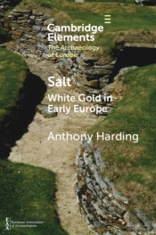 Salt