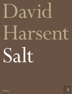 Bertrand.pt - Salt