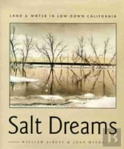 Salt Dreams