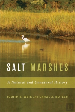 Bertrand.pt - Salt Marshes