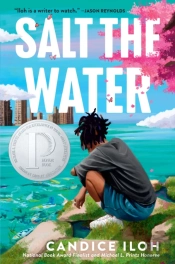 Salt The Water