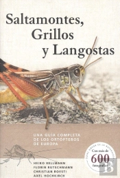 Saltamontes, Grillos Y Langostas
