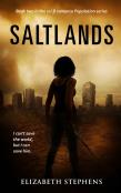 Saltlands