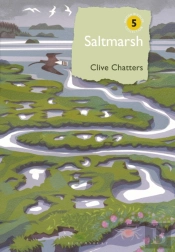 Saltmarsh