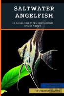 Saltwater Angelfish