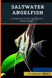 Saltwater Angelfish