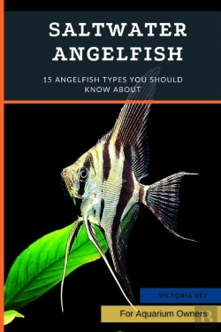 Bertrand.pt - Saltwater Angelfish