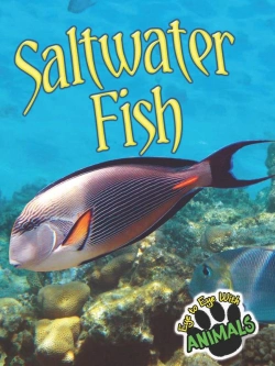 Bertrand.pt - Saltwater Fish