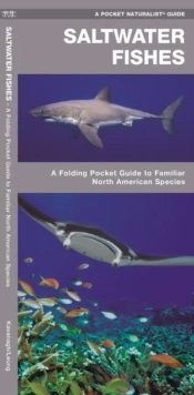 Saltwater Fishes