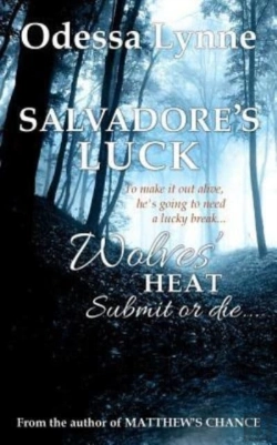 Bertrand.pt - Salvadore'S Luck
