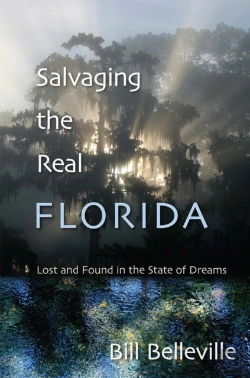 Bertrand.pt - Salvaging The Real Florida