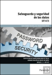 Salvaguarda Y Seguridad De Los Datos