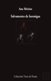 Salvamento De Hormigas